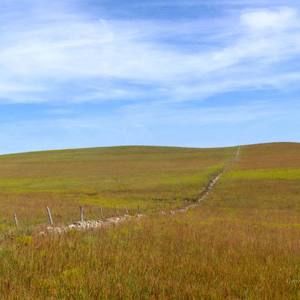 Meet your Posher, Henry